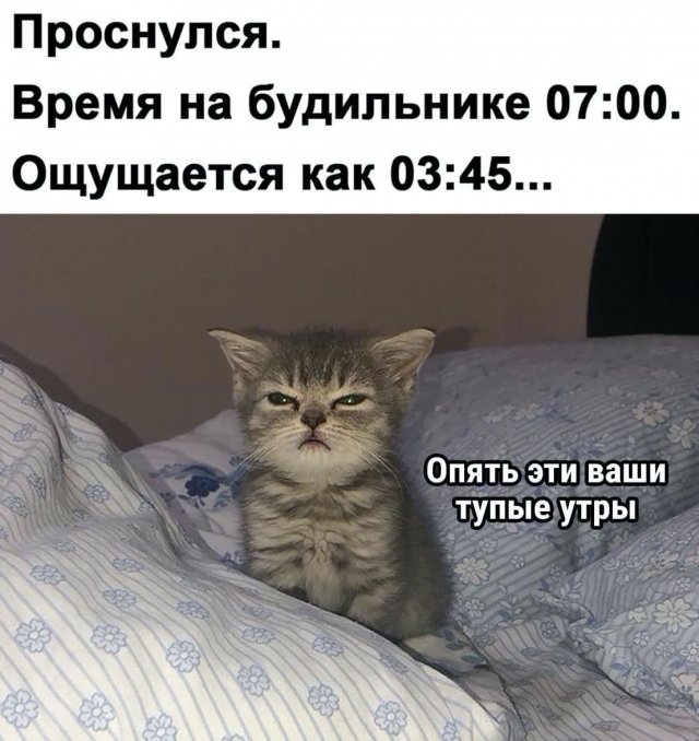 Бредзона