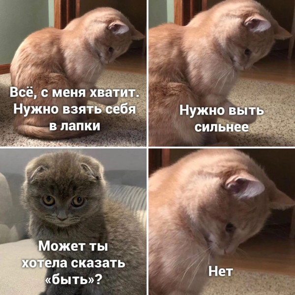 Немного картинок для настроения - 112