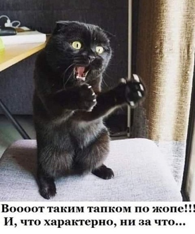 3 этапа жизни