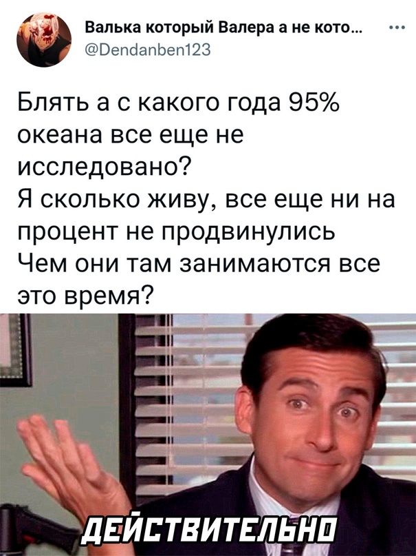 Весёлый полтишок 08.09.22