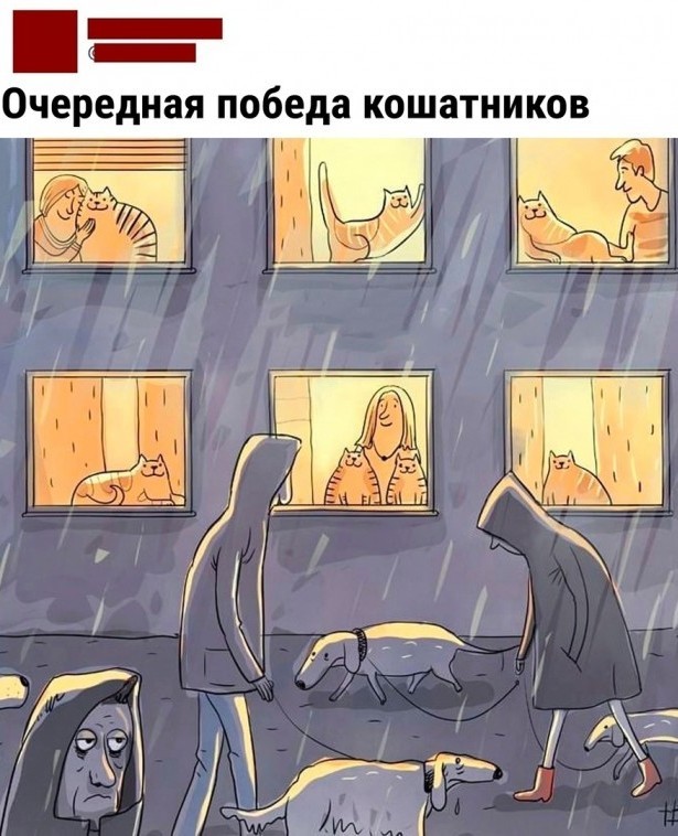 Так себе картинки 15.09.22