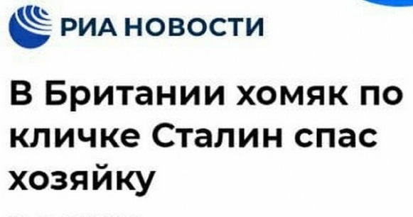 Забавные шутки и картинки из этих ваших интернетов