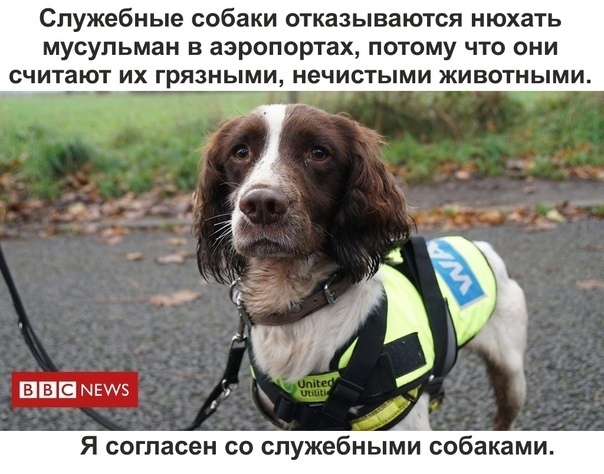 Мусульманская диаспора в Новосибирске заставила мать поставить своего сына на колени