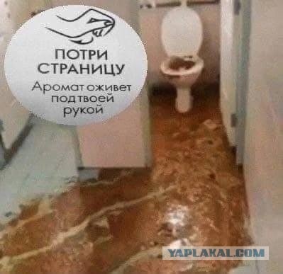 Послание федеральному собранию 2023