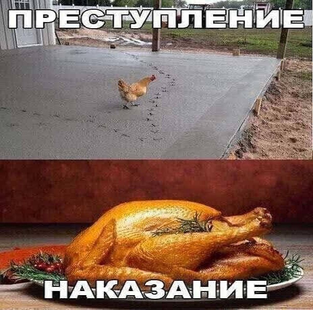 Картинки и мемы для настроения - 181