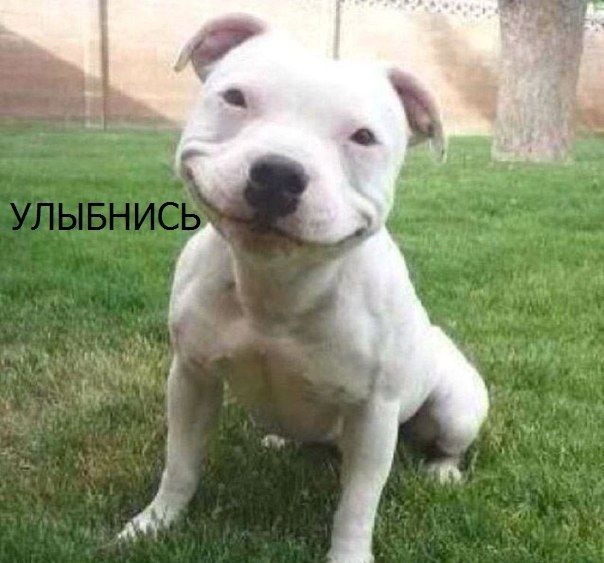 Где тут "свободная касса"?