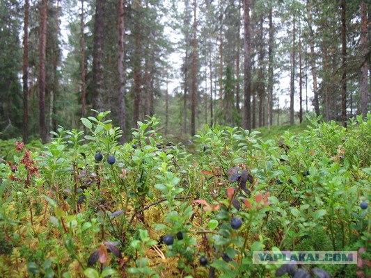 Стокгольм, Швеция, фото + буквы