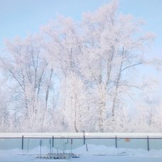 Зимняя красота