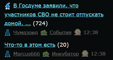 В Госдуме заявили, что участников СВО не стоит отпускать домой, так как они стали "профессионалами"