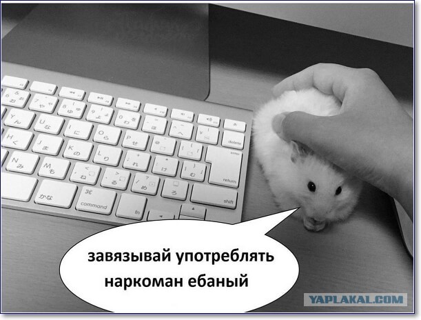 Пятничные улыбательные картинки