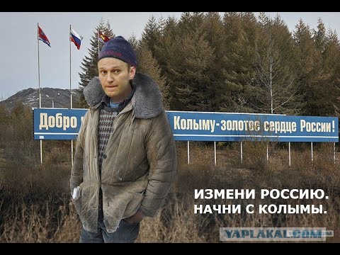 Навальный в ответ на вопрос, что делать, если его убьют