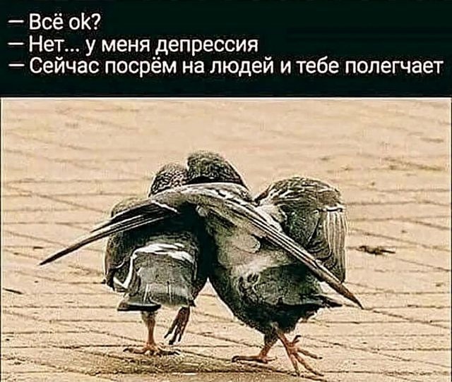 Так себе картинки 16.07.24