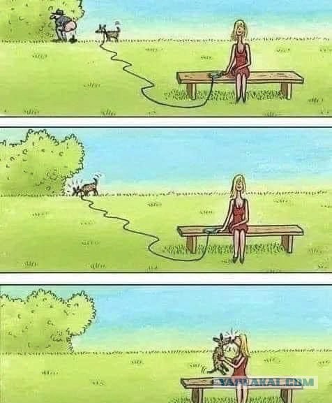 Из жизни собачников