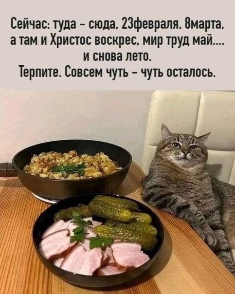Так себе картинки 15.02.25