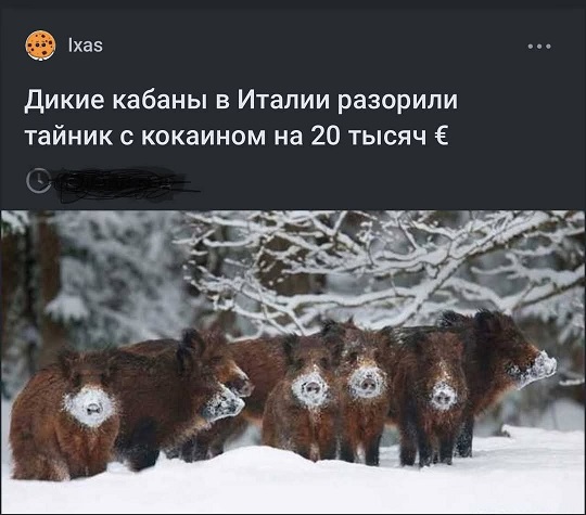 Синий Винстон