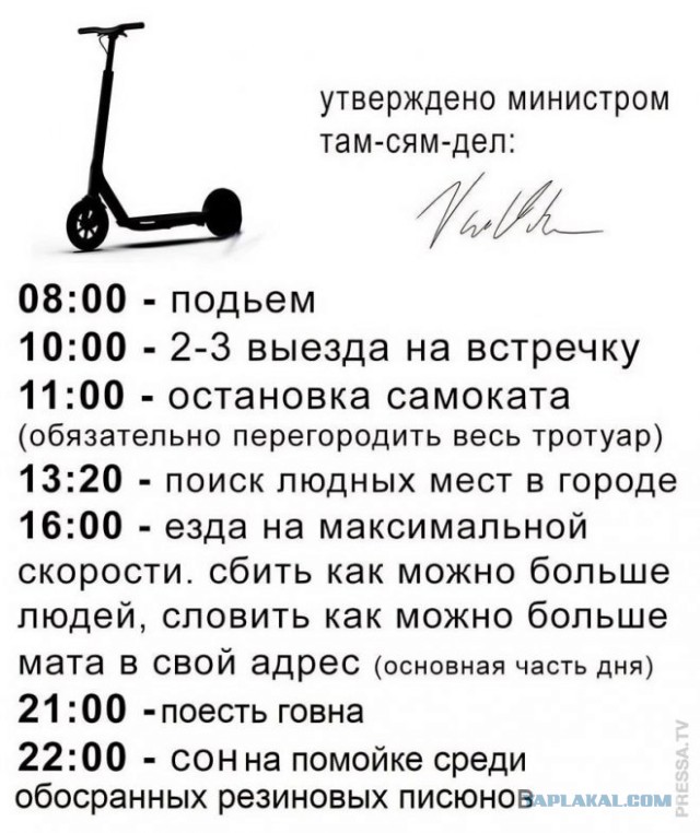 Веселые картинки в маленькую пятницу (13.08)