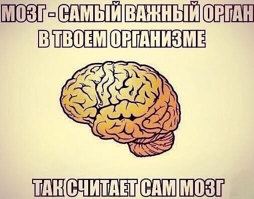 Папа, а кто такой диктатор?
