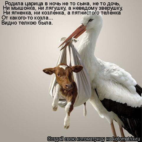 Эти лайфхакерши совсем с ума посходили