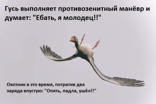 Зима!.. Ворона, торжествуя...
