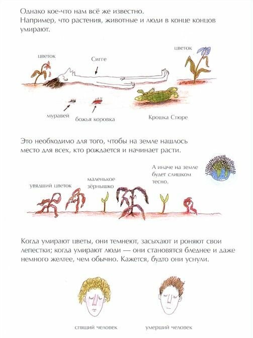 "Книга о смерти" для младшего школьного возраста...
