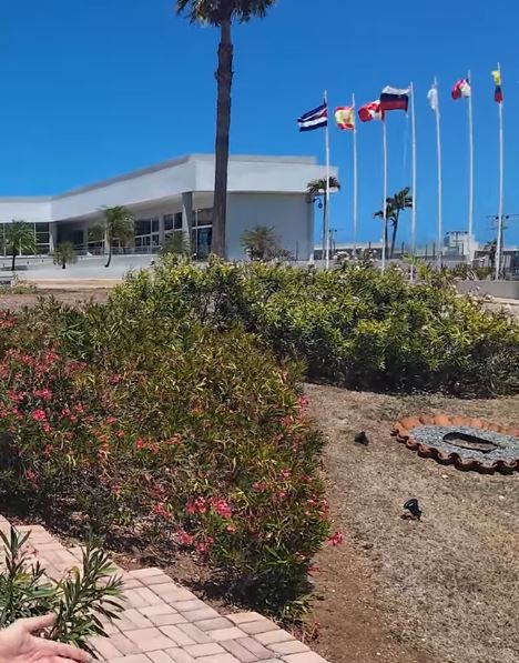 "— А вы кто? Хохлушка?  — Х*юшка! — Иди п*здуй отсюда!"