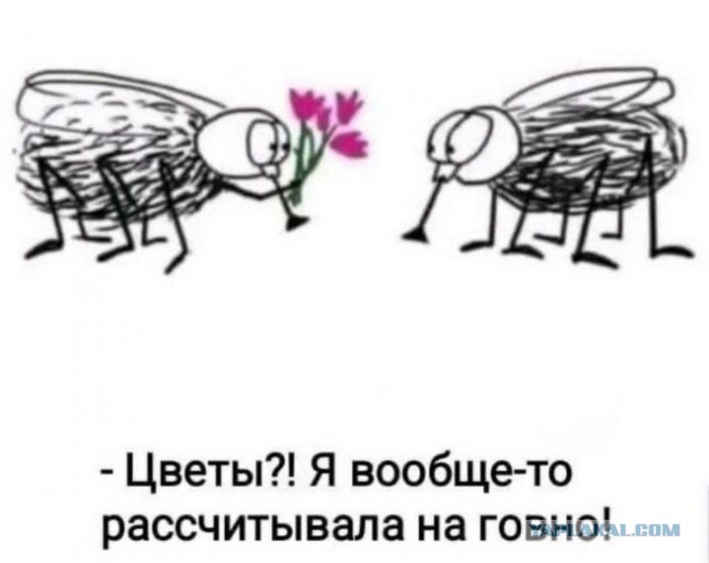 Где проводят такие опросы?