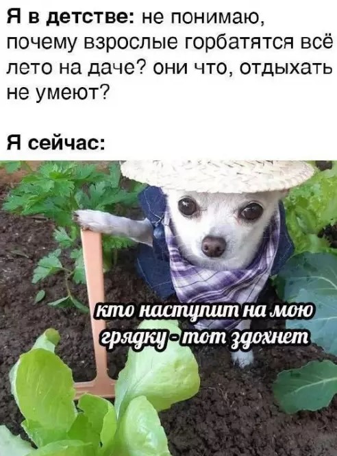 Картиночки, баянчики 14 марта