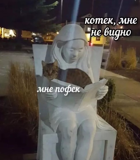 Котямбосы