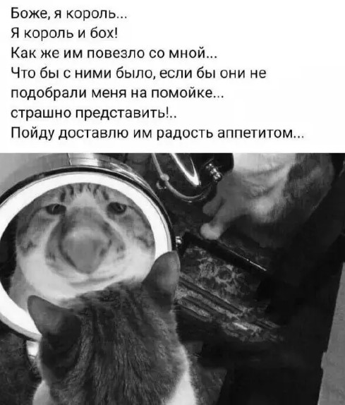 Картиночки, баянчики 01 апреля