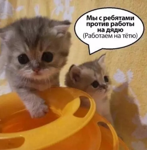 Картиночки, баянчики 03 апреля