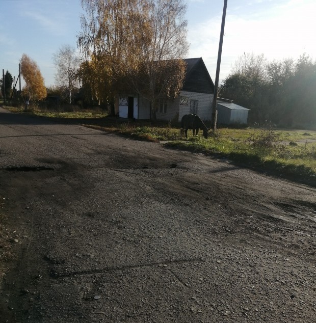 Реалии
