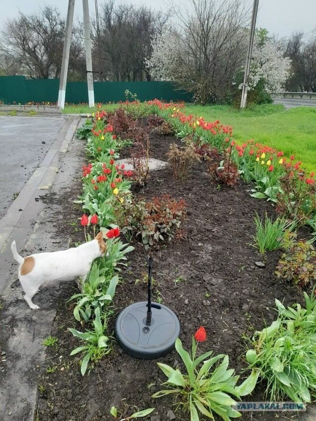 Не дать растаять Снегурчке. Нужна помощь всесильного Япа.