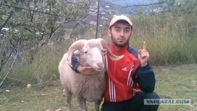 "Оденься закрыто, бл*ть! Одну открытую одежду поменяла на другую"