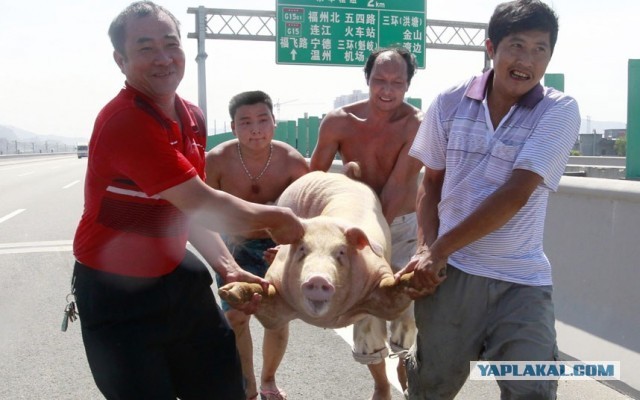 Ураза-байрам 2013