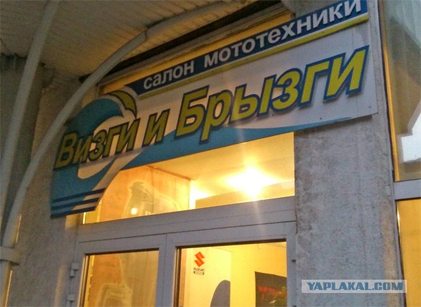 Маразмы года 2013