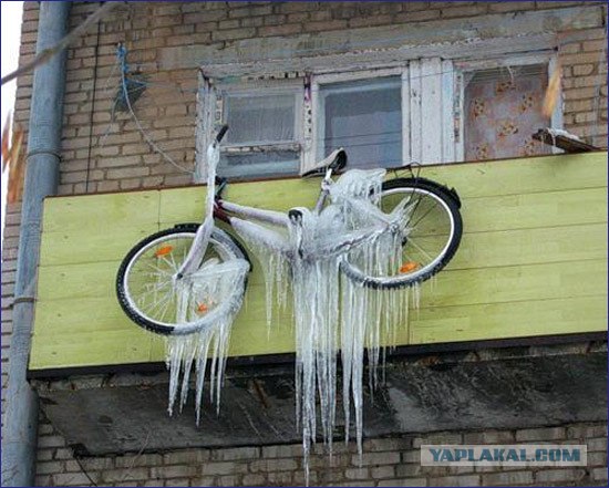 Кустанайский юмор  (15 фото)