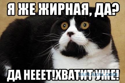 Толстая