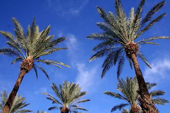 Топ-10 рейтинг самых раздражающих отпускных фоток