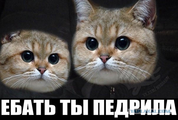 Госдеп США выдвигает обвинения против ополченцев