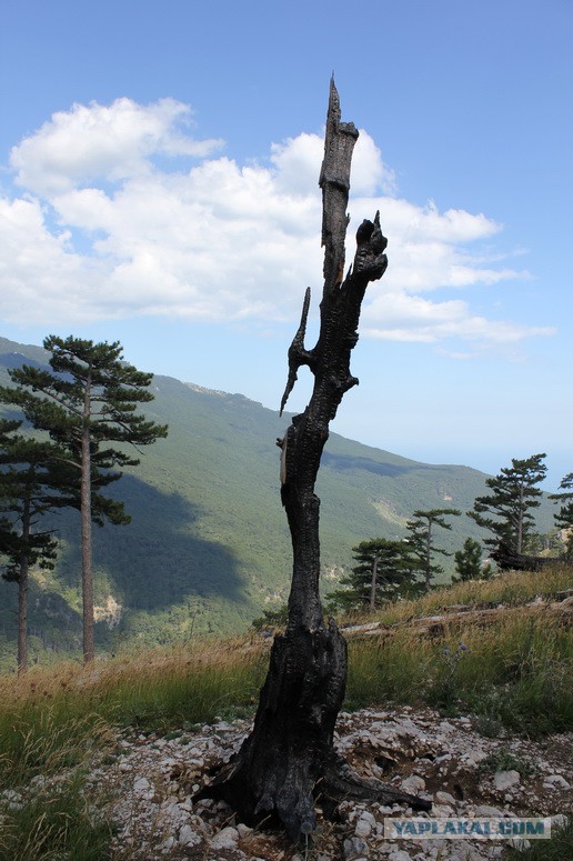 Дорога из Киева и из Москвы в Ялту.