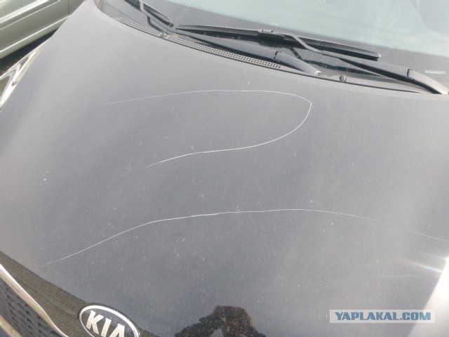 Поймать бы ту сволочь...