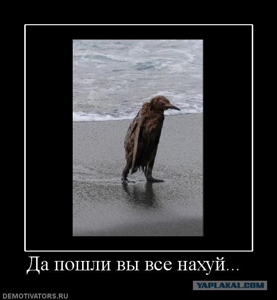 Демотиваторов пост, добавляйте свои