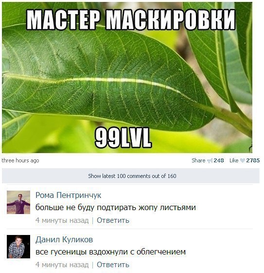 Смешные комментарии из соцсетей, картинки