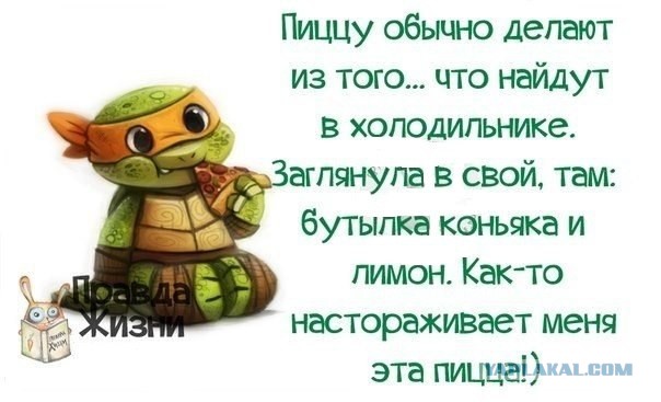 Веселые картинки