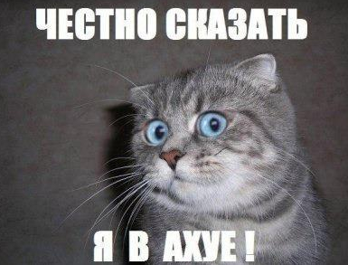 Как я чуть не сжег кота