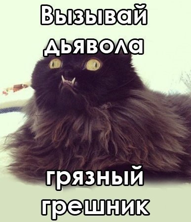Просто зашел на сайт православного