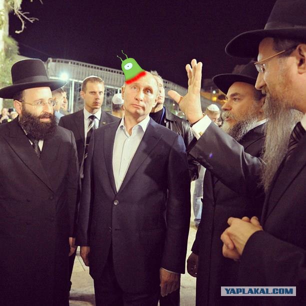 Свой среди своих