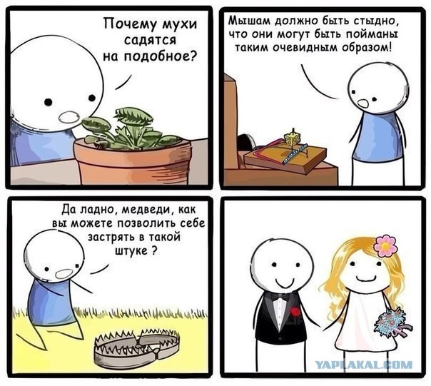 Смешные комментарии 06.04.2015