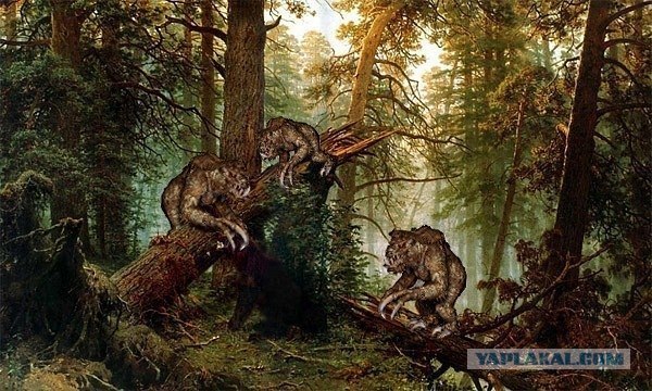 А можно было пройти мимо...