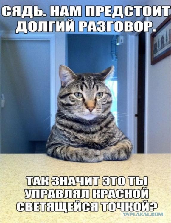 Когда ночью не спится
